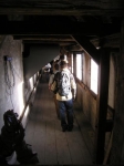 img031.jpeg.medium.jpeg