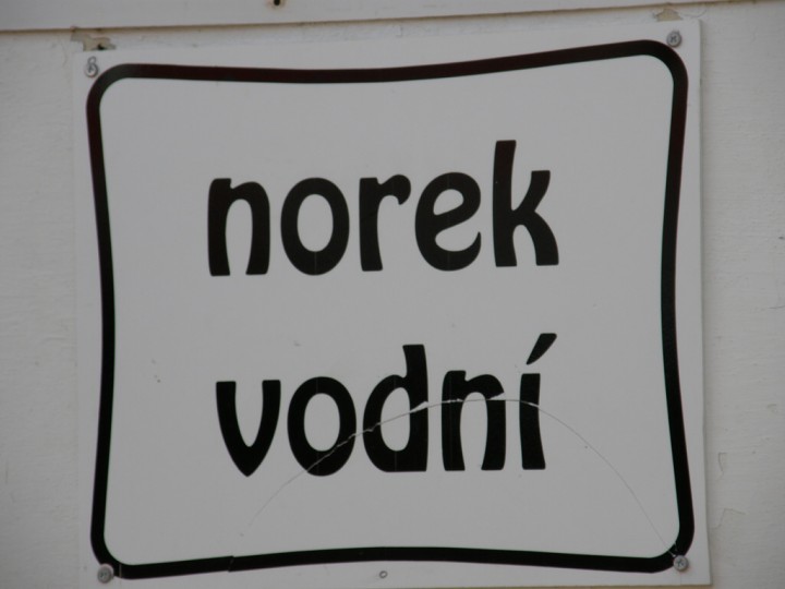 img00044.jpg