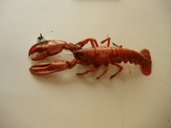 img00071.jpg