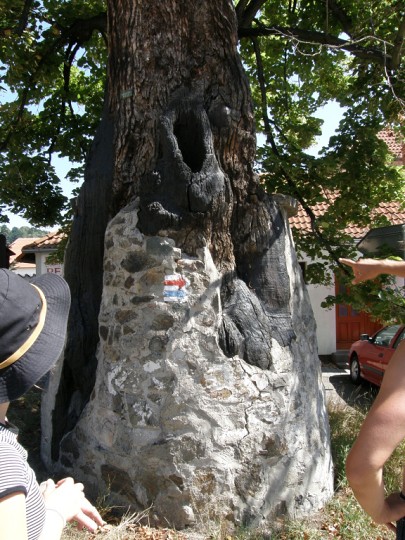img00101.jpg