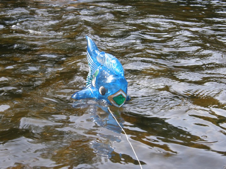 img00107.jpg