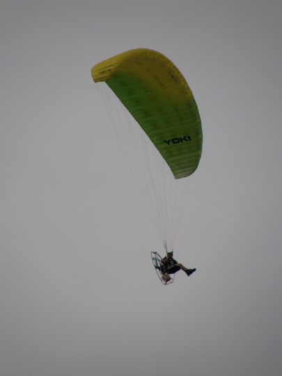 img00129.jpg