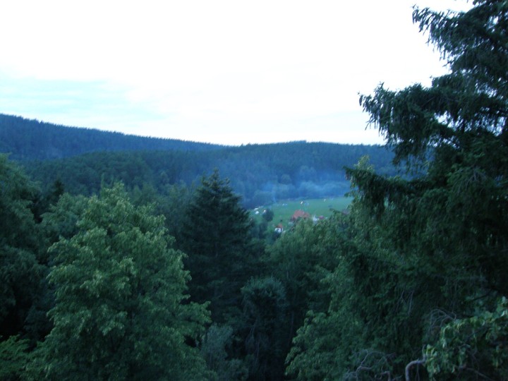 img00134.jpg