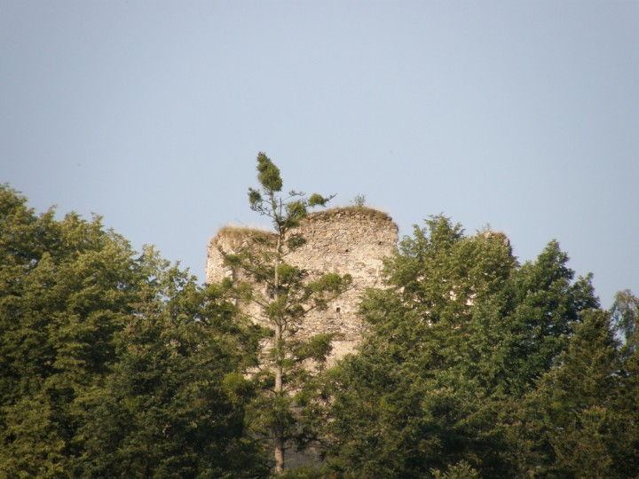img00143.jpg