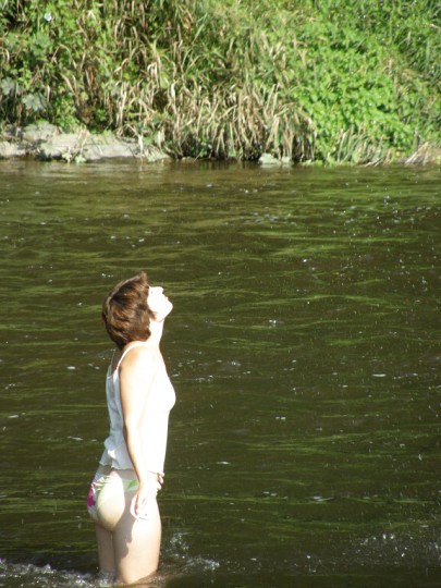 img00146.jpg