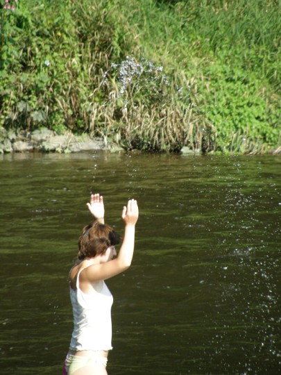 img00147.jpg