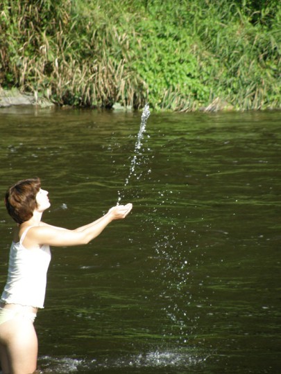 img00148.jpg